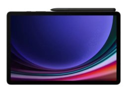 Tablet SAMSUNG Galaxy Tab S9 5G (X716) 12/256 GB Gray (11