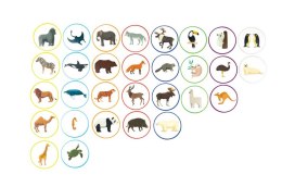 Zestaw edukacyjny do chusty Zwierzęta AKSON 30 szt.