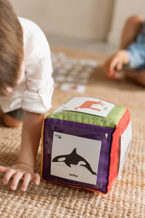 Karty pracy ZWIERZĘTA po angielsku 10 x 10 cm 78 sztuk