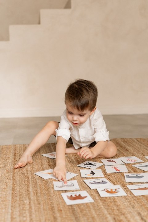 Karty pracy ZWIERZĘTA po angielsku 10 x 10 cm 78 sztuk