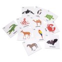 Karty pracy ZWIERZĘTA po polsku 10 x 10 cm 78 sztuk