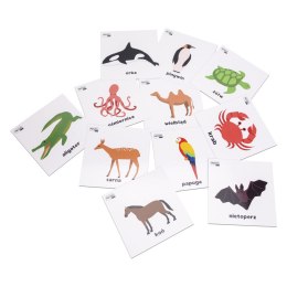 Karty pracy ZWIERZĘTA po polsku 10 x 10 cm 78 sztuk