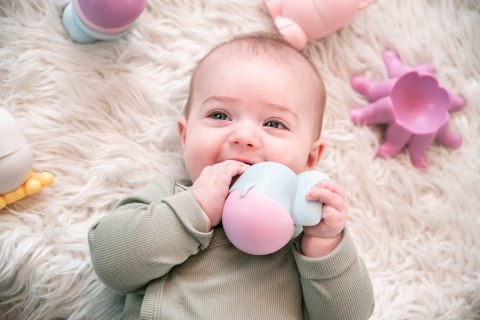 Magimals - magnetyczne zwierzątka - Farma