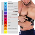 ABS MASTER PRO SUPER ELEKTROSTYMULATOR MIĘŚNI HMS