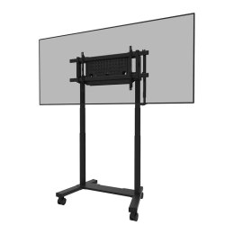 Stojak mobilny na telewizor Neomounts FL55-975BL1 75