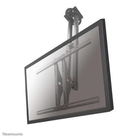 Uchwyt sufitowy do ekranów Neomounts PLASMA-C100 37"-75" Vesa 800x450 max 50 kg Silver