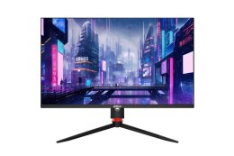 Monitor Dahua 27