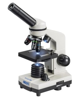 Mikroskop Optical 100