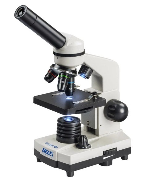 Mikroskop Optical 100