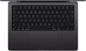 Notebook APPLE MacBook Pro 14 (14.2"/36 GB/SSD2TB/Czarny)