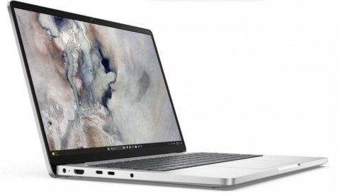 Notebook DELL Pro 14 PC14250 (14"/16GB/SSD512GB/W11P/Srebrno czarny)
