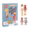 Apli Kids magnetyczne puzzle Ciało człowieka - 63 el. - 5+