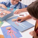 Apli Kids magnetyczne puzzle Ciało człowieka - 63 el. - 5+