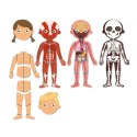 Apli Kids magnetyczne puzzle Ciało człowieka - 63 el. - 5+